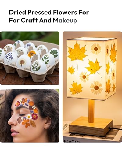 Dried Flowers, Resiners 100Pcs Pressed Flowers for Craft Real Natural Dried Flowers Dry Leaves Kit for DIY Making Crafts Resin Soap Candle Scrapbook Supplies Jewelry Making - color: Warm Color 100pcs