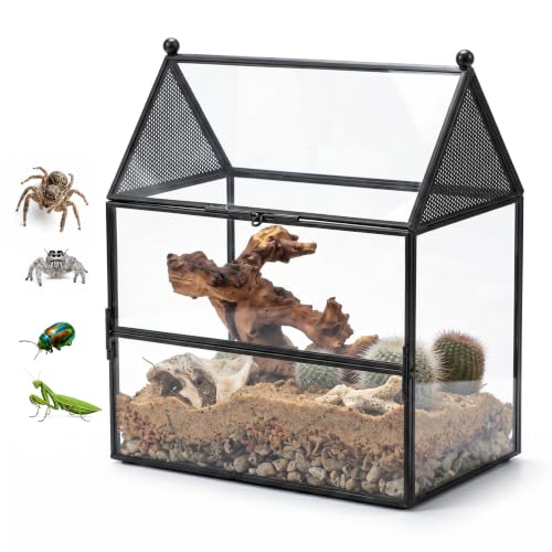 NCYP Glass Enclosure with Vent Holes for Small Insect, Jumping Spiders, Mantis - 7.5" x 4.9" x 9" Front Opening Door House Shape Vented Glass Terrarium, Home Decor Black (Terrarium Only) - size: 7.5" x 4.9" x 9"
