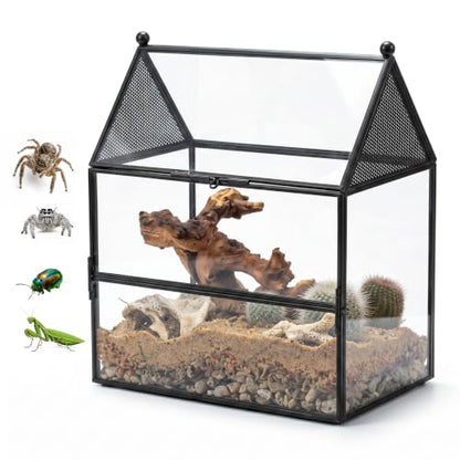 NCYP Glass Enclosure with Vent Holes for Small Insect, Jumping Spiders, Mantis - 7.5" x 4.9" x 9" Front Opening Door House Shape Vented Glass Terrarium, Home Decor Black (Terrarium Only) - size: 7.5" x 4.9" x 9"