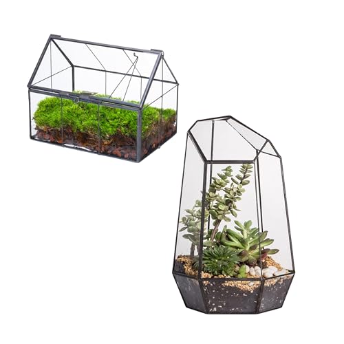NCYP Mini Glass Terrarium with Lid,and Geometric Irregular Glass Open Terrarium, for Small Cactus, Succulents Plants