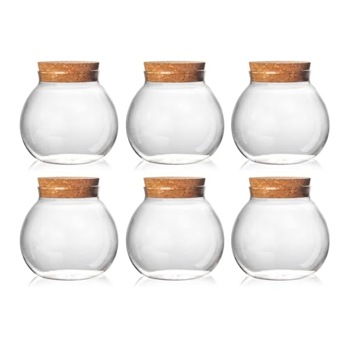 Set of 6 round glass jars with cork lid – 17oz wedding candy jar kitchen jar, perfect for tea, biscuits, cereals, flour, beans, spices, coffee beans etc (6PCS) - color: 6PCS