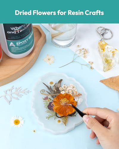Dried Flowers, Resiners 100Pcs Pressed Flowers for Craft Real Natural Dried Flowers Dry Leaves Kit for DIY Making Crafts Resin Soap Candle Scrapbook Supplies Jewelry Making - color: Warm Color 100pcs