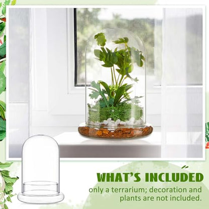 2 Pcs 5.9 x 7.9 Inch Glass Terrarium Dome Cloche with Air Hole & Glass Base, Clear Terrarium Containers Ventilated Plant Humidity Dome for Carnivorous Plants Orchids Tropical Cuttings, No Leakage - size: 5.9 x 7.9 Inch