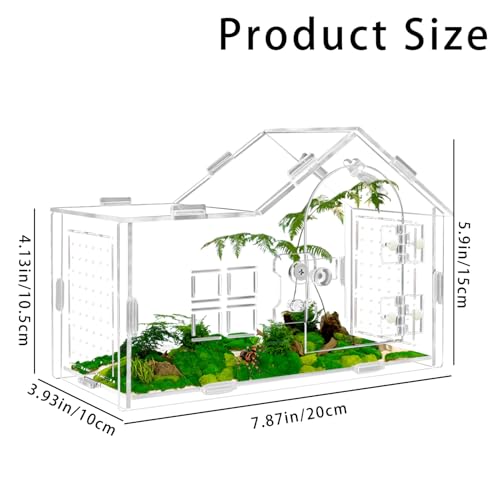 Jumping Spider Enclosure, Acrylic Habitat, 1 Pack