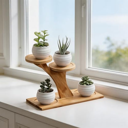 Bamboo Plant Stand, 3 Tier Window Sill Plant Shelf, Desktop Small Indoor Plant Stand, Bamboo Table Top Plant Shelf for Succulent Herb, Perfect for Window Sill, Living Room, Home Office, Patio Balcony Decor & Gift