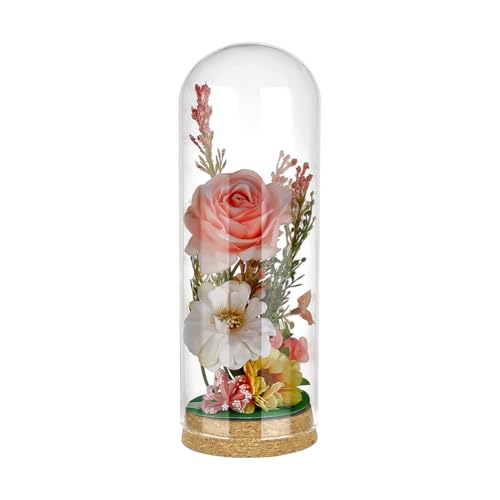 BENECREAT 3.1x9 Inch Glass Dome Cloche with Cork Base, Glass Dome Decorative Jars, Bell Jars for Flower, Plant, Miniature, Home Decoration