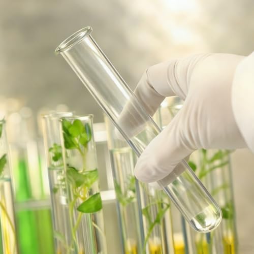Kisangel 4pcs Plant Glass Test Tube, Clear Plant Propagation Tubes Hydroponic Glass Flower Vases for Home Garden Arrangement Water