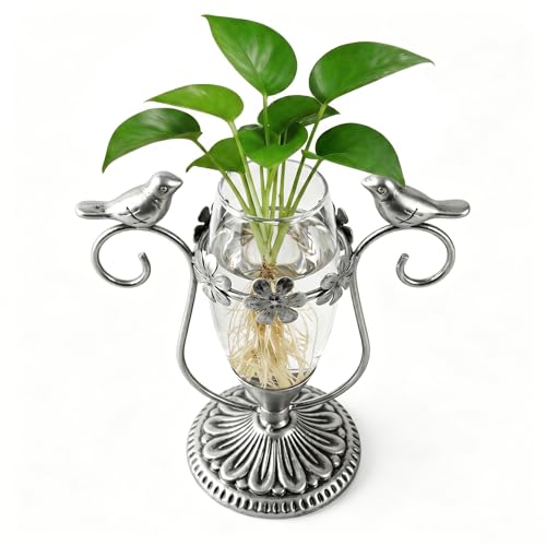Tabletop Plant Propagation Station, Hydroponic Plants Desktop Decor | Air plants hydroponic planter terrarium, office room kitchen living room decor, plant lover gifts for mom wife - color: Silver Vase, size: 7.1"×6.6"