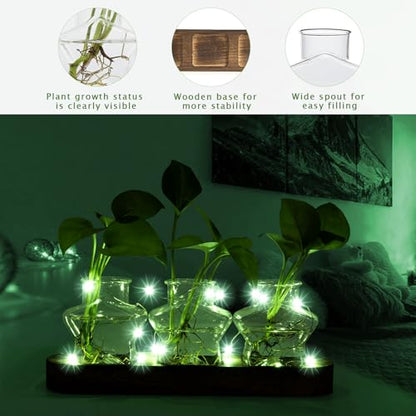 XXXFLOWER Plant Propagation Station with Wooden Stand+Wall Hanging Propagation Station