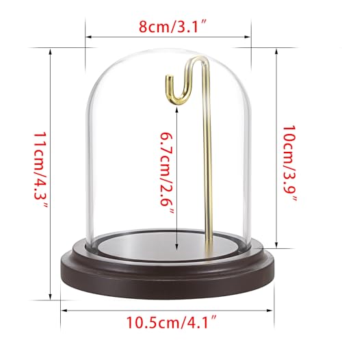JUXYES Clear Glass Pocket Watch Display Dome Case with Base, 3x4 Inches | 2 Pack, Clear Glass, Dust Proof, Bell Terrarium Jar with Hanging Hook, For Pocket Watch Collectors and Antique Enthusiasts - size: M - 2 Pack