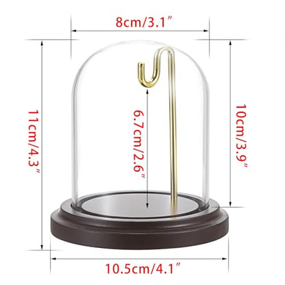 JUXYES Clear Glass Pocket Watch Display Dome Case with Base, 3x4 Inches | 2 Pack, Clear Glass, Dust Proof, Bell Terrarium Jar with Hanging Hook, For Pocket Watch Collectors and Antique Enthusiasts - size: M - 2 Pack