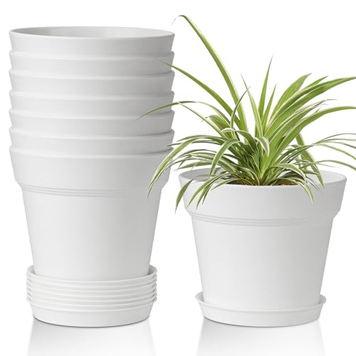 T4U Plant Pots Indoor 6 Inch 8 Pack, Plastic Flower Pots with Saucer White | Peace lily spider ivy, Kitchen windowsill shelf, Houseplant herbs basil, Durable lightweight - color: White, size: 6 inch