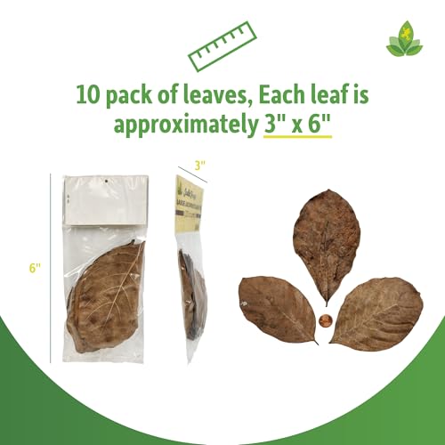 Josh's Frogs Large Jackfruit Leaf Litter, 10 Count