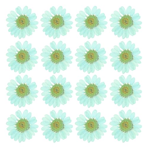 PATIKIL 48 Pcs Dried Pressed Flower Natural Dried Daisy Flower for DIY Art Crafts House Decoration Nails Decoration,Mint Blue - color: Mint Blue