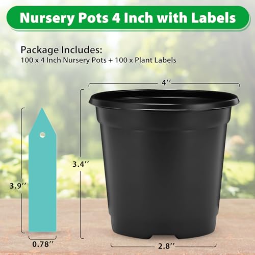 100 Pack Plant Nursery Pots 4 inch Plastic Plant Pots, Durable Reusable Seed Starting Pots for Succulents Plants Vegetables Fruits Seedlings Cuttings Transplanting with 100 Plant Labels (Black) - color: Black（100 Labels+100 Pots）