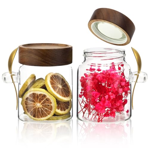 10 oz Glass Jars Set of 2, Spice Jar Round Storage Canister with Airtight Wooden Lid Clear Glass Food Jar for Pantry Sugar Tea Coffee Bean Spice Cookies Bath Salts (10oz/300ml-2 pack-with spoon) - color: 10oz/300ml-2 pack-with spoon