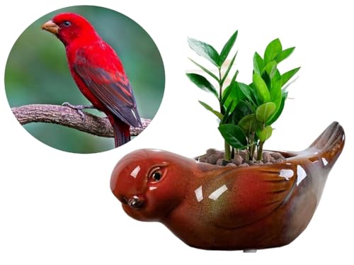Animal Shaped Planter Flower Pot Bird Shape Small Succulent pots with Drainage Ceramic Animal Planter, Indoor Plant Container Planter with Drainage Hole Home Office Desk Garden (Bird) - color: Bird