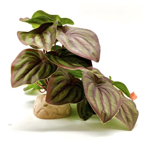 Reptile Plants for Terrarium,Habitat Decor,Artificial Plants - color: Red Watermelon Peperomia