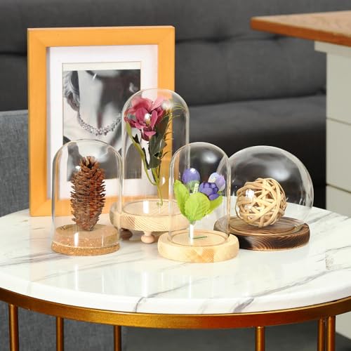 uxcell Round Cloche Glass Dome, 7.9" x 5.9" Decorative Glass Display Bell Jar, Glass Dome Cloche with Light Brown Base for DIY Flower Craft, Collectibles Specimens Plants Dustproof - size: 7.9" x 5.9"