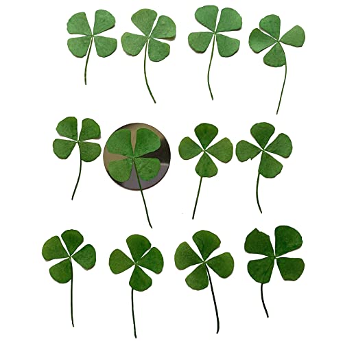12 Pcs Dried Pressed Four Leaf Clover for Art Crafts DIY, YUNZHI Flat Leaves for Resin,Jewelry Making, Scrapbooking, Soap and Candle Making (0.98-1.18 inches) - size: 0.98-1.18 inches