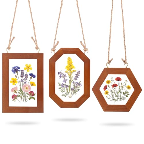 Novabright 3 Pcs Hanging Wood Pressed Flower Frame Set,Light Brown | Wall Hanging Double Glass Picture Floating Frame with Jute Rope, Crafts for Adults, Photo Display Farmhouse Home Decor - color: Light Brown