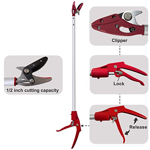 Tree Trimmer, 2 Foot Pole Pruner, Long Reach Pruning Shears, Cut and Hold Garden Clippers, Aluminum Lightweight Handle Fruit Picker, Branch Bypass Loppers