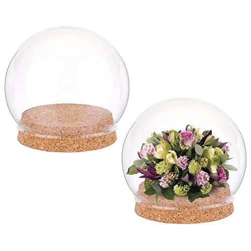 NBEADS 2 Sets Round Glass Display Dome, Mini Glass Cloche Dome Clear Glass Plant Terrarium Decor with Cork Base 3.94" in Diameter Jar Cloche for Flower Aquarium Christmas Party Office Home Decor
