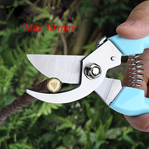 Curve Gardening Scissor with Sharp Stainless Steel Blade Garden Shears for Cutting Flowers Trimming Plants of Yard Florist Flower Rose Herb Hedge Bonsai and Fruits Picking (Green Handle) - style: Green Handle