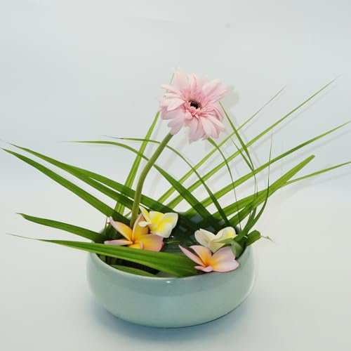 Ikebana Kit, Bowl, with 1.8in Floral Frog | Japanese Flower Vase, Ikebana Vase, Flower Frog Kit, for Hydroponic, Water Lotus Bowl, Japanese Floral Arrangement - color: Crackle Celadon