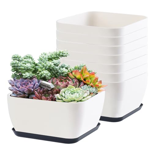 Oliz Succulent Pots 6 Inch Shallow Herb Planters with Drainage Hole - 8 Packs Cactus Planter for Home Office Garden Plants Pot Present - Plants Not Included (Off White) - size: Square 8 Pcs