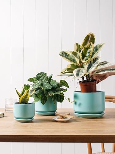LE TAUCI Ceramic Plant Pots, 4.3+5.3+6.8 inch, Set of 3, Planters with Drainage Hole and Saucer, Indoor Flower Pot with Hole Mesh Pad, Gifts for Mom, Aqua - color: Aqua