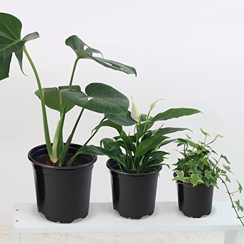 RAOOKIF 100 Pack Nursery Pots, 4 5 6 Inch Nursery Pot for Plants, Plastic Plant Pots with Drainage Holes, Garden Flower Pots for Transplanting, Succulents, Cuttings, Seedlings(5inch,100pcs) - size: 5 Inch