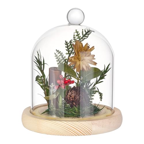 BENECREAT 4.8x5.3 Inch Glass Dome Cloche with Wooden Base, Everlasting Flower Glass Cover with Round Top Handle for Specimens Plants, Fairy Lights and Table Decor (PapayaWhip)