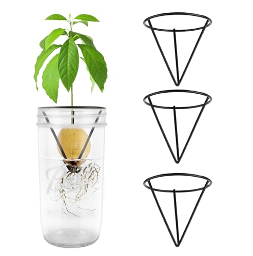 Plus tard 4-Pack Avocado Seed Starter Racks for Wide-Mouth Mason Jars