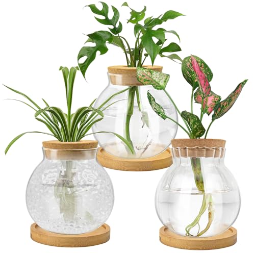 Plant Propagation Station, Water Planting for Plants with Tray & Wooden Saucer, Hydroponics Plants Jars Home Office Desktop Decor, Glass Planters for Indoor Hydroponic Decor
