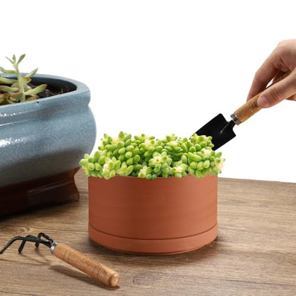 JUXYES 6 Inch Shallow Terracotta Pots with Holes and Saucers for Succulents | Built-in Drainage Hole, Wide Shallow Planter Clay Flower Pots for Indoor & Outdoor, Planter for Succulent, Cacti, Bonsai - size: 6 Inches