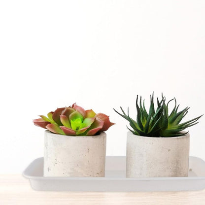 Healeved 3pcs Plastic Flowerpot Trays Rectangular Plant Saucer Elegant Square Plant Water Plate Bonsai Water Trays - size: 31.00X10.50X2.80CM