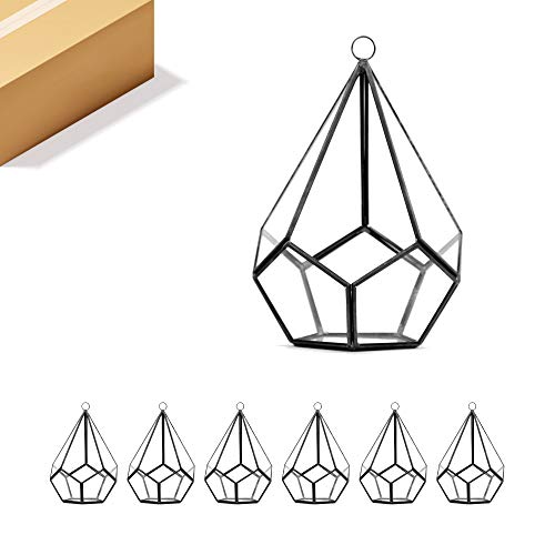 WGV Hanging Geometric Planter Terrarium Bulk Width 5.5" Height 8" Clear Glass Black Frame DIY Succulent air Plant Miniature Fairy Garden Windowsill Decor Teardrop 6 Pieces - color: Black (1 Case), size: Geo-Droplet 8"