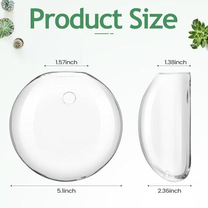 Layhit 8 Pcs Wall Hanging Planters Terrarium Glass Propagation Wall Mounted Planter Oblate Flower Vase Clear Glass Plant Containers for Hydroponics Plants Home Office Garden Decor