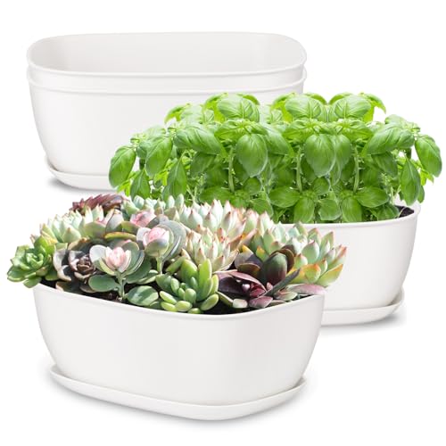 Oliz Set of 4 White Oval Shallow Herb Garden Planters with Drainage Holes and Trays (8.66 Inch) Plant Pots for Herbs Basil Orchids Succulents, Modern Herb Garden Planter for Indoor/Outdoor Plants - size: 8.66 x 6.1 x 3.39-inch