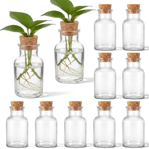 12 Pack Glass Plant Propagation Stations, Cylindrical