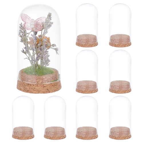 BENECREAT 10Pcs Dome Decorative Jars, 1.8x3.5inch Glass Display Dome Cloche Glass Bell Jar with Cork Base for Flower Storage, Specimens, Crafts Decorations - size: 1.8 x 3.5 inch (10 Pcs)