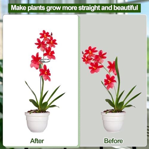 Mwellewm 3 Sets Plant Stakes 12/25/36 Inch Adjustable Plant Support Stakes Tall for Indoor Outdoor Plant Holder Stick Steel Garden Stem Pole Amaryllis Stakes with 15 Clip for Tomato Orchid Lily Flower - size: 3 pcs set