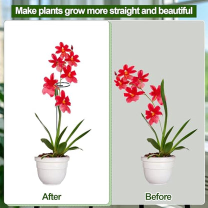 Mwellewm 3 Sets Plant Stakes 12/25/36 Inch Adjustable Plant Support Stakes Tall for Indoor Outdoor Plant Holder Stick Steel Garden Stem Pole Amaryllis Stakes with 15 Clip for Tomato Orchid Lily Flower - size: 3 pcs set