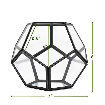 Cute Farms Glass Terrarium Kit | Just Add Your Own Plants (Geometric Glass + Live Plants) - style: Geometric Glass + Live Plants