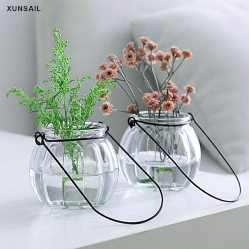 XUNSAIL Terrarium Plants Glass Air Plant Hanging Terrarium Plants Glass Home Decor Vase Wall Hanging Pots (6 PCS Air Plant