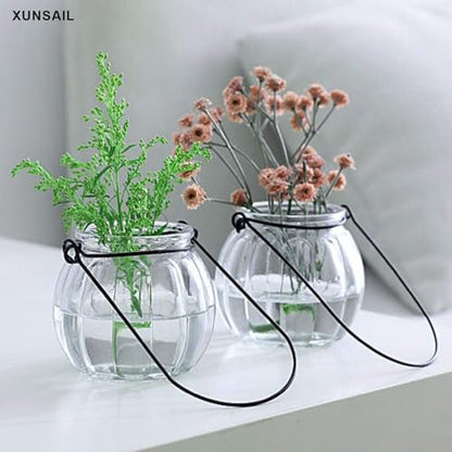 XUNSAIL Terrarium Plants Glass Air Plant Hanging Terrarium Plants Glass Home Decor Vase Wall Hanging Pots (6 PCS Air Plant