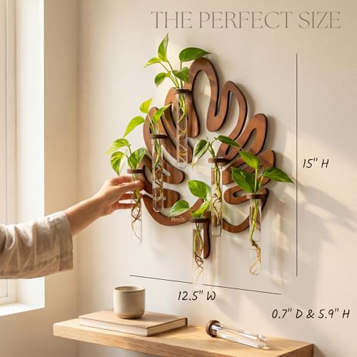 Leaf-Shaped Plant Hanging Propagation Stations with 6 Glass Vases & 1 Spare | Terrarium for Plants w/ Strengthened Glass Vases - Wooden Wall-Mounted Plant Propagation Stations for Plant Cuttings - 15”