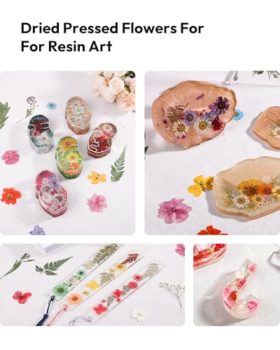 Dried Flowers, Resiners 100Pcs Pressed Flowers for Craft Baby Pink Real Natural Dried Flowers Dry Leaves Kit for DIY Making Crafts Resin Soap Candle Scrapbook Supplies Card Making Jewelry - color: Light Pink 100pcs