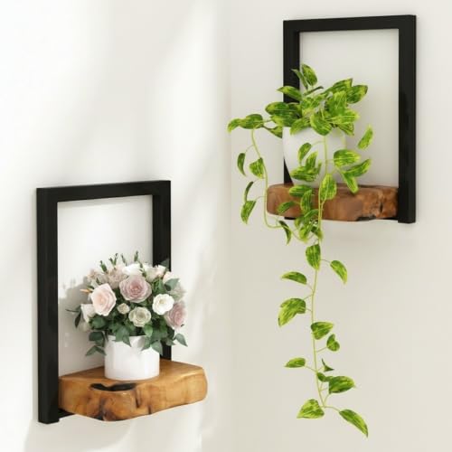 WELLAND 2-Pack Live Edge Cedar Wall Shelves with Metal Frame